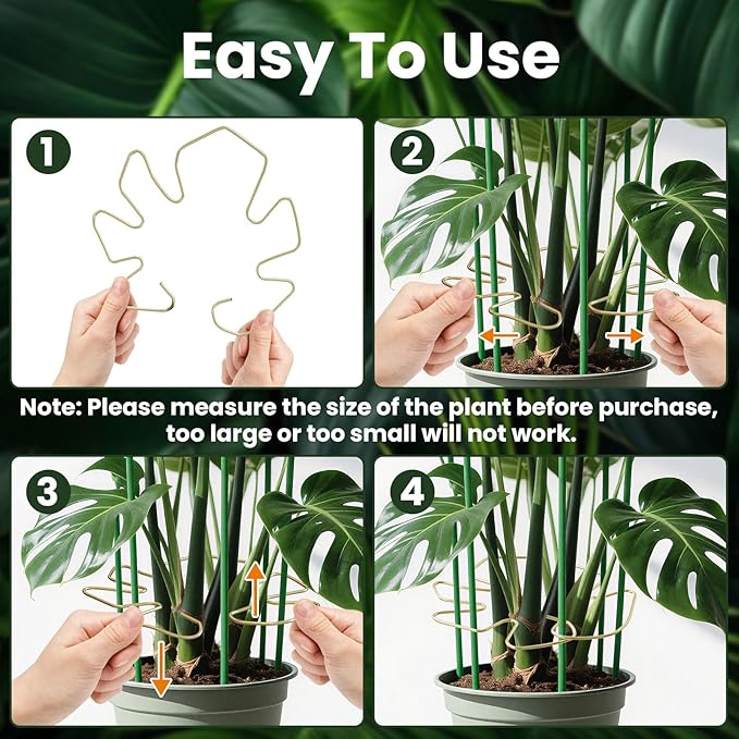 5pcs Plant Stem Support, Support Frame For Outdoor & Indoor Plant Growth Stereotypes-Medium