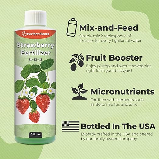 Strawberry Plant Fertilizer by Perfect Plants | Best Liquid Fruit Plant Food for Strawberries | for Acid Loving Berry Bushes in Your Backyard Farm (8 fl oz)