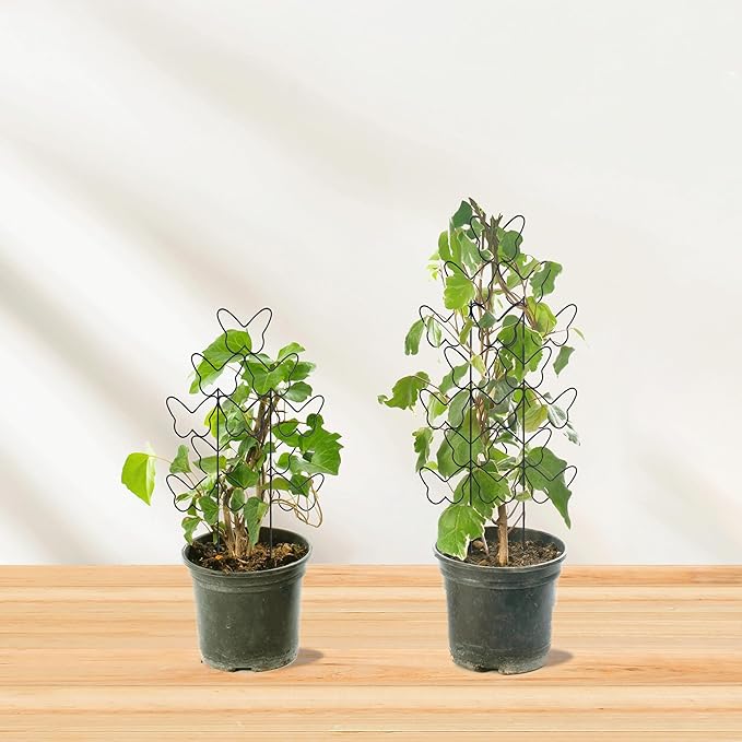 Indoor Plant Trellis for Climbing Plants – Support Structure for Potted Plants, Small Plant Trellis for Pothos, Hoya, and Indoor Garden Climbing Plants (3PCS)