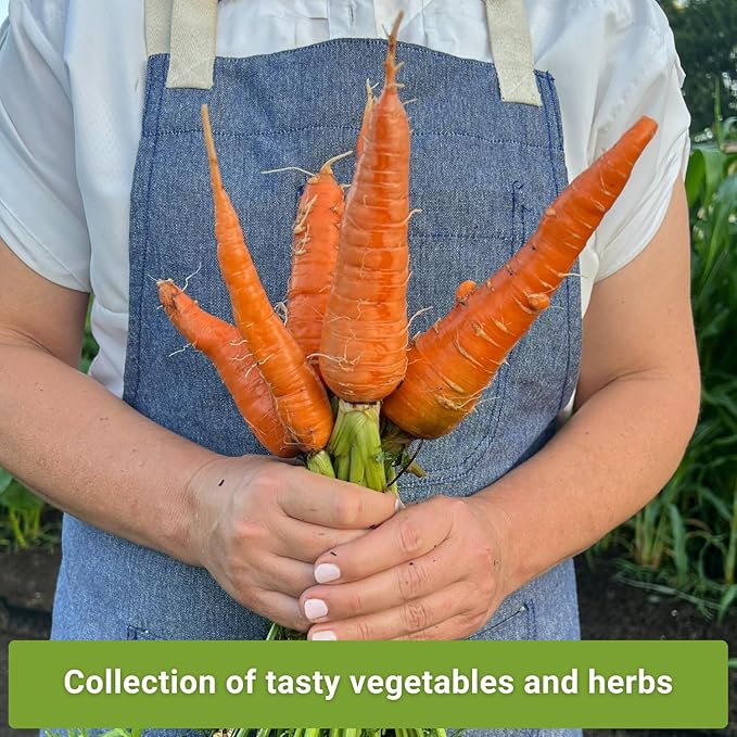 Sow Right Seeds - Asian Garden Seeds for Planting - Includes Basil, Celery, Bunching Onion, Yu Choy Sum, Eggplant, Pepper, Bok Choy, Tat SOI, Radish and Carrot - Non-GMO Heirloom Varieties