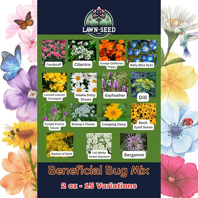 Beneficial Bug Wildflower Mix (2oz) Sprinkle a Little Magic—Our Shade, Perennial, Hummingbird, Deer-Resistant, and Other mixes Bring Vibrant Color and pollinator Joy to Any Space.