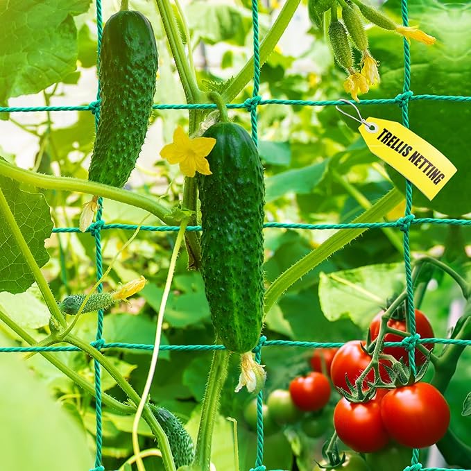 Garden Trellis Netting - Heavy Duty Trellis Net for Climbing Plants, 26.3x6.6Ft Plant Netting for Cucumber, Tomato, 27 Strands Nylon & 4x4 IN Mesh, Grow Netting for Fruits, Vegetables, Grape, Bean,Pea