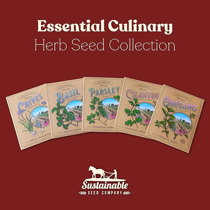 Essential Culinary Herb Garden Seed Collection - Basil, Chives, Cilantro, Parsley, and Oregano Seeds for Planting - ~2,300 Non-GMO, Heirloom Seeds - Charmingly Packaged Herb Seed Variety Pack