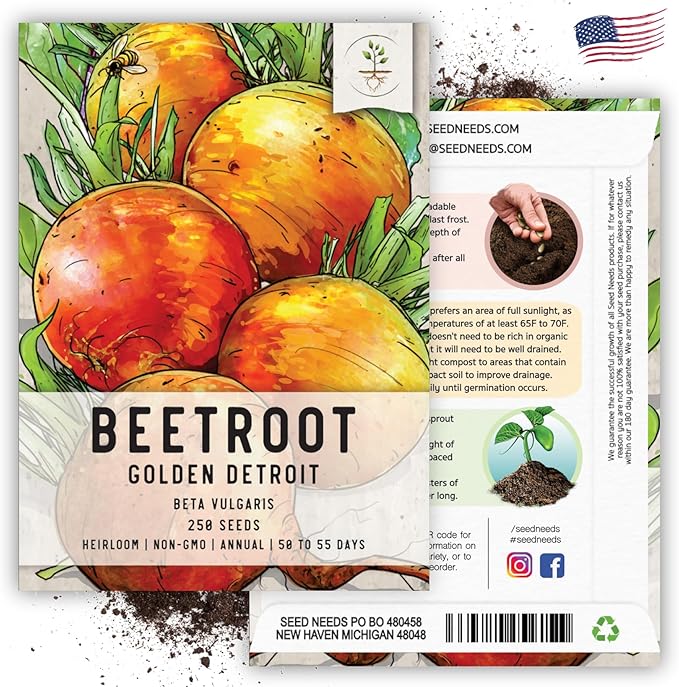 Seed Needs, Golden Detroit Beet Seeds - 250 Heirloom Seeds for Planting Beta vulgaris - Grow an Outdoor Garden Non-GMO & Untreated (2 Packs)