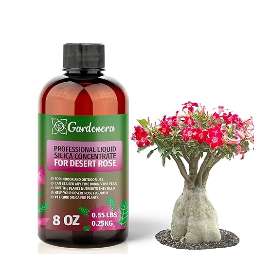 𝐏𝐑𝐄𝐌𝐈𝐔𝐌 Liquid Silica Plant Supplement - 8oz (250mL) - Desert Rose Plants Liquid Silica Boost Fertilizer - Stronger Stems & Healthy Leaves for Indoor & Outdoor Desert Roses (Makes 45 Gallons)