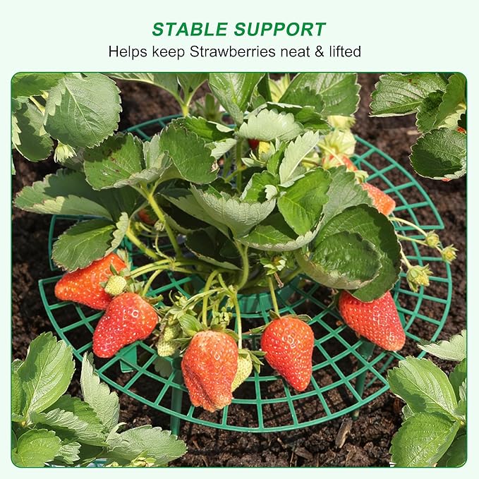 10 Pack Round Strawberry Plant Support,Strawberry Growing Kit,Reusable Plant Supports for Indoor Outdoor Growing