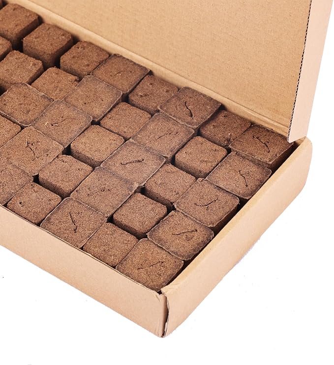 50 Packs Cuttage Grow Sponges, Pods Root Growth Sponge Eco Friendly PH Balance, Square Sponge Replacement Part Seedling Starter Sponges for Hydroponic Indoor Garden System Cuttage Rooting