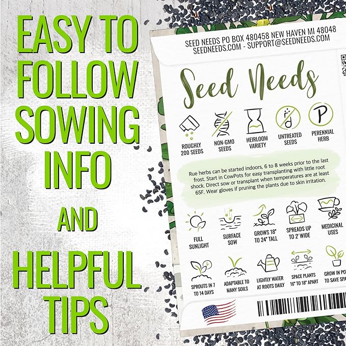 Seed Needs Rue Seeds for Planting Medicinal Herbs - Non-GMO Heirloom & Untreated Perennial Herb Seed to Plant a Home Grown Garden Indoors or Outdoors (5 Packs)