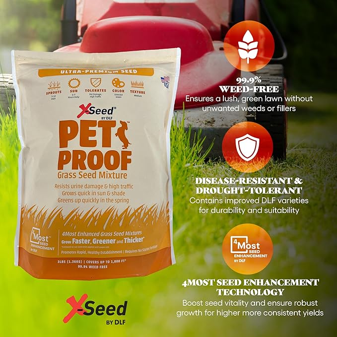X-Seed Pet Proof Fescue Grass Seed – Dense Lawn for Sun & Shade, Urine Resisitant High Traffic Emerald Green Grass, Rapid Growing In Cool & Sunny Climates, Suited for Dogs – Perennial Blend - 3 lb Bag