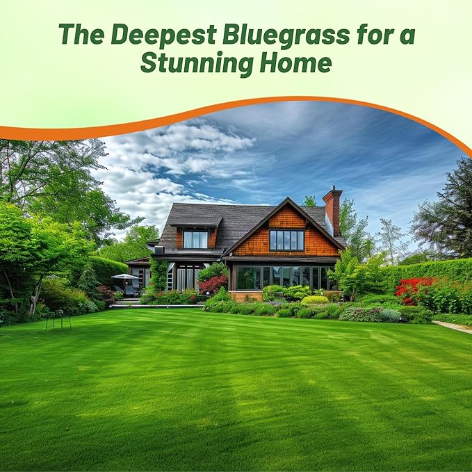 Outsidepride Midnight Kentucky Bluegrass Seed - 50 Lbs. Cold & Drought Tolerant, Sun-Loving Lawn Grass Seed, w/High Traffic Tolerance & Deep Root System, OptiGrowth Coated for Better Establishment