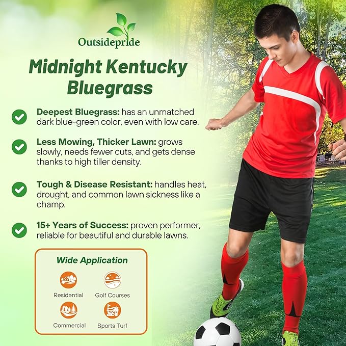 Outsidepride Midnight Kentucky Bluegrass Seed - 25 Lbs. Cold & Drought Tolerant, Sun-Loving Lawn Grass Seed, w/High Traffic Tolerance & Deep Root System, OptiGrowth Coated for Better Establishment
