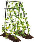 HPC Decor Cucumber Trellis for Raised Bed, 6 FT Tall Garden Trellis for Climbing Plant Outdoor, Metal A Frame Trellis with Climbing Net, Support for Vegetable, Grape, Tomato, Peas, Fruit, Vine.