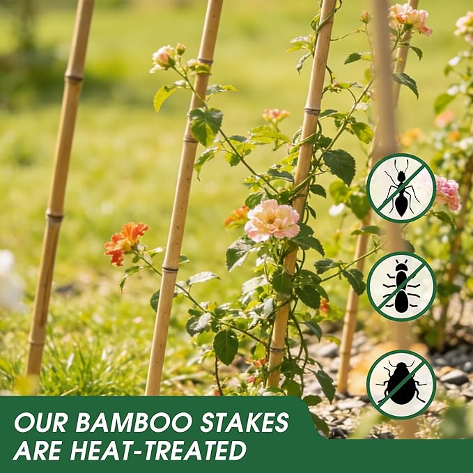 3 Pack 4.8 Feet Natural Bamboo Trellis for Climbing Plants Outdoor, Oltara Fan-Shaped Plant Support Trellis for Potted Climbing Plants, Vegetables, Cucumbers, Tomatoes