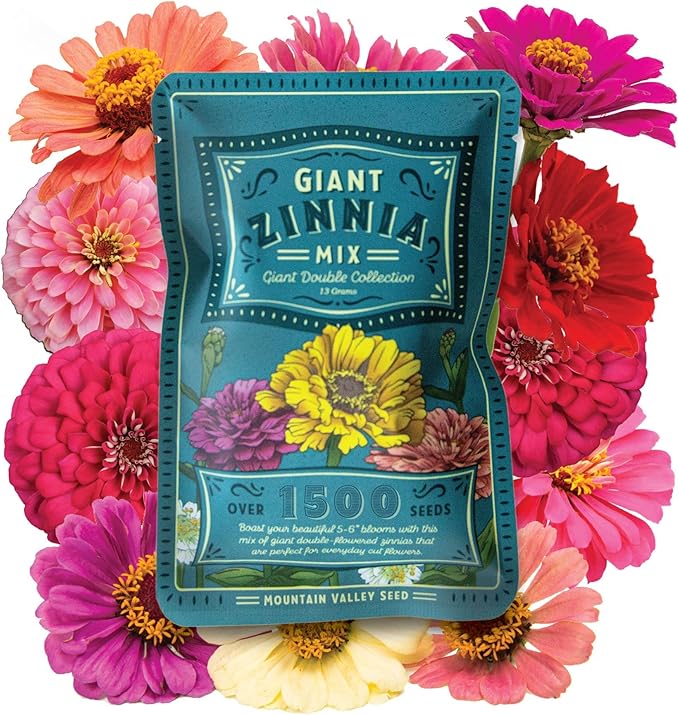 Zinnia Seeds for Planting Outdoors ~1,500 California Giant Mix Zinnia Seeds - Beautiful 4' Tall Wildflower Blossoms - Zinnia elegans Pollinator Seed Mix - Bright, Cheerful Annual Flower Seed