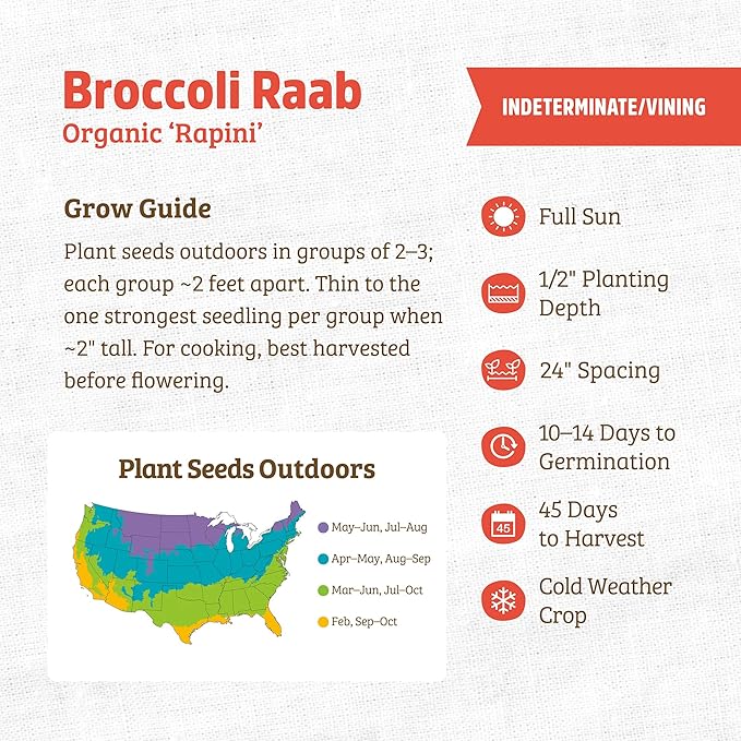 Back to The Roots 100% Organic Seed Packet - Broccoli Raab 'Spring Rapini' 200mg