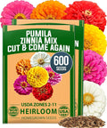 HOME GROWN Dwarf Zinnia Seeds Mix - 600 Pumila Zinnia Seeds for 2026 (0.6g) | Zinnia Flower Seeds for Planting Outdoors | Colorful Cut Annual Flowers for Summer Gardens & Containers (Zinnia elegans)