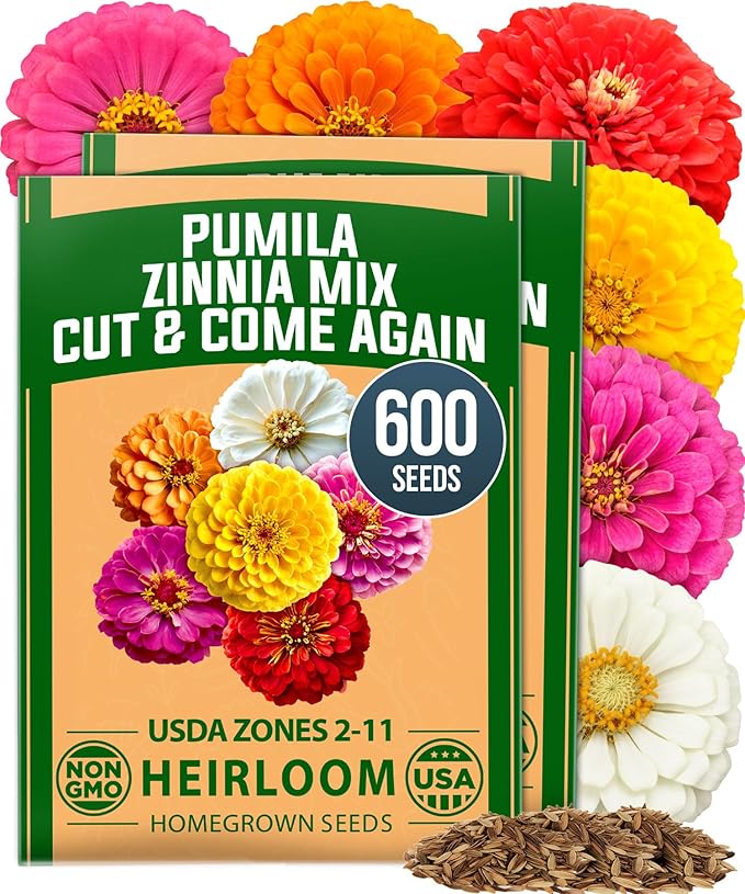 HOME GROWN Dwarf Zinnia Seeds Mix - 600 Pumila Zinnia Seeds for 2026 (0.6g) | Zinnia Flower Seeds for Planting Outdoors | Colorful Cut Annual Flowers for Summer Gardens & Containers (Zinnia elegans)