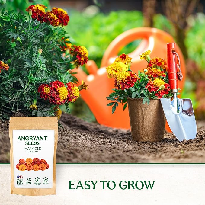 Marigold Sparky Mix Seeds - 999+ Heirloom Flower Seeds for Planting Indoors and Outdoors in Your Home Garden - Non GMO, USA Grown - Annual, Open Pollinated Wildflower Seeds Bulk for Companion Planting