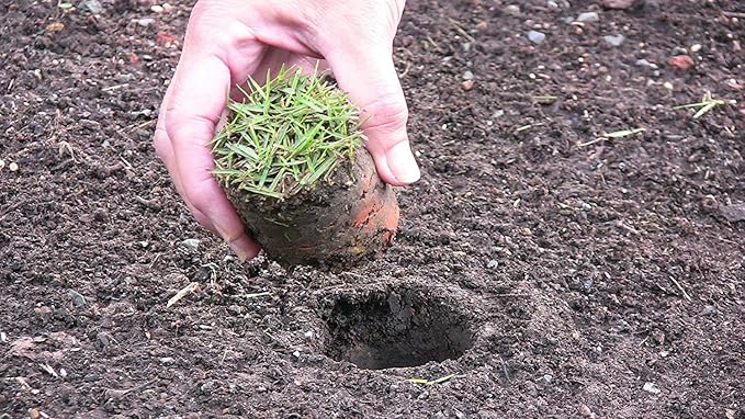 ProPlugger 5-in-1 Planting Tool - Sod Plugger, Bulb and Flower Planter