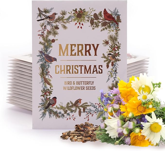 Bentley Seeds Co. Merry Christmas Wreath of Birds Holiday/Christmas Gift Tags | Non-GMO, Non Coated Bird & Butterfly Pollinator Wildflower Seed Mix | 25 Seed Packets
