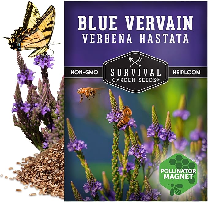 Survival Garden Seeds Blue Vervain Seeds for Planting (Verbena Hastata) | North American Native Wetland Wildflower | Butterfly Magnet - 1 Pack