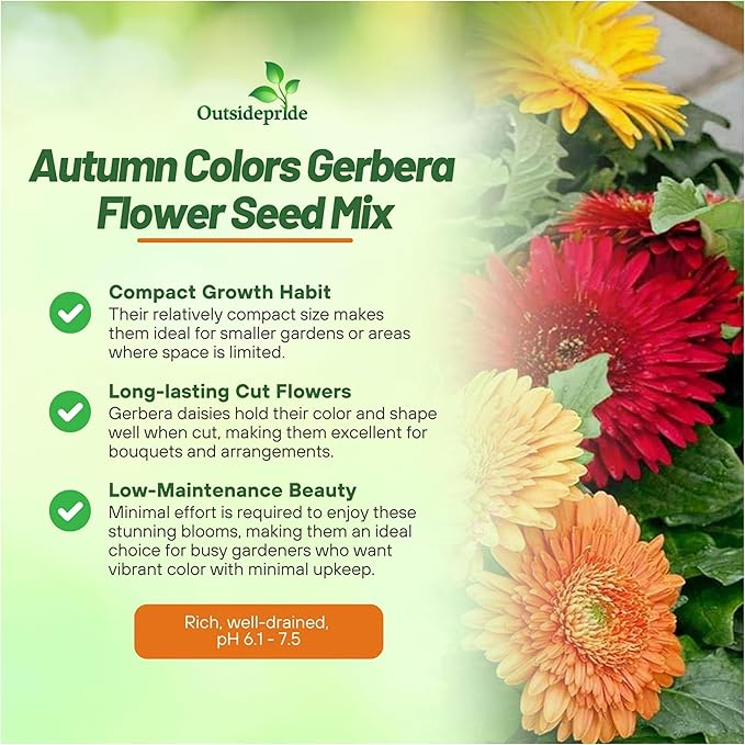 Outsidepride Autumn Colors Mix Gerbera Seeds - 20 Pcs Perennial, Compact & Low Maintenance, Flower Seeds for Planting w/Vibrant Mixed Blooms, Ideal for Garden Landscaping & Cut Flower Arrangements