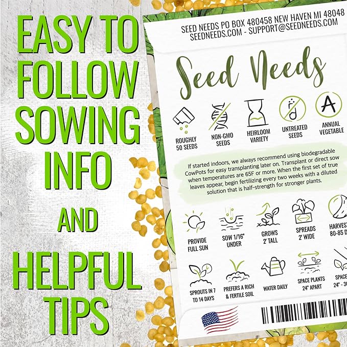 Seed Needs Tomatillo Seeds for Planting Grande Rio Verde Tomatillos - Non-GMO Heirloom & Untreated - Grow a Home Grown Outdoor Vegetable Garden - Great for Salsa & Mexican Cuisine (2 Packs)