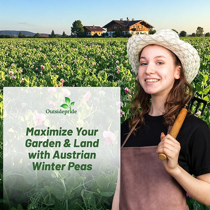 Outsidepride Austrian Winter Peas Seeds for Planting – 10 lbs Bag (Cool-Season Cover Crop, High-Protein Deer Food Plot Seed) Field Peas, Cover Crop Seeds, Spring Mix for Soil Health & Forage