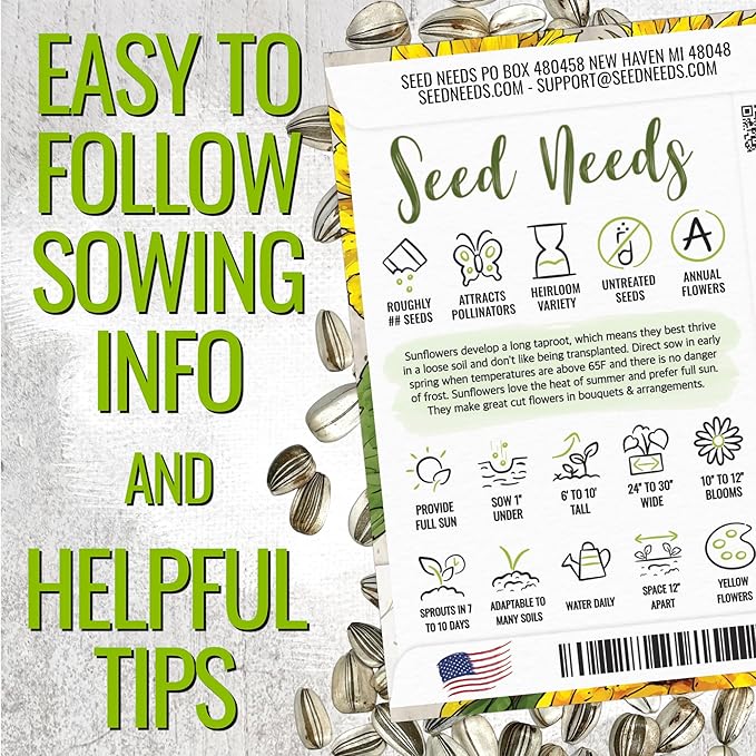 Seed Needs Sunflower Seeds to Plant Mammoth Grey Stripe | 2 Ounce Large Resealable Pouch Heirloom Seeds Helianthus Annuus Non GMO | Tall Growing Sun Flowers (XL Pack)