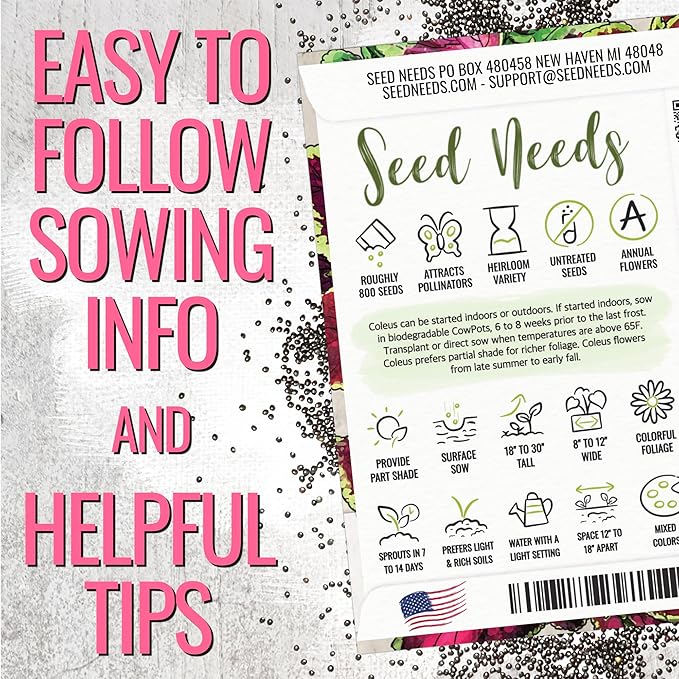 Seed Needs Coleus Seeds for Planting Rainbow Painted Nettle - Heirloom & Open Pollinated Mixed Flower Seed to Grow an Outdoor Butterfly Garden to Attract Pollinators (10 Packs)
