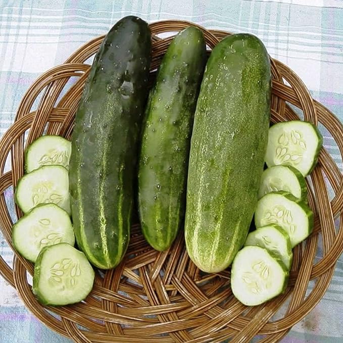 Ashley Cucumber Garden Seeds - 3 g Packet ~100 Seeds - Non-GMO, Heirloom Vegetable Gardening Seed - Cucumis sativas