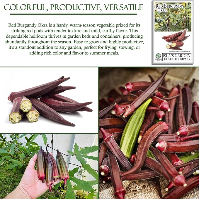 Red Burgundy Okra Seeds for Planting – 100+ Non-GMO & Heirloom Seeds, Abelmoschus esculentus, Tender Red Pods for Frying & Cooking, High Yield Warm-Season Vegetable, by Isla’s Garden Seeds, Gift Idea