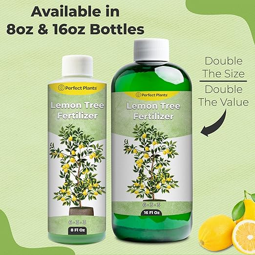 Liquid Lemon Tree Fertilizer by Perfect Plants | Citrus Plant Food for Fast Growth and Happy Live Lemon Trees | 6-3-3 Formula Rich in Nitrogen and Other micronutrients (16oz)