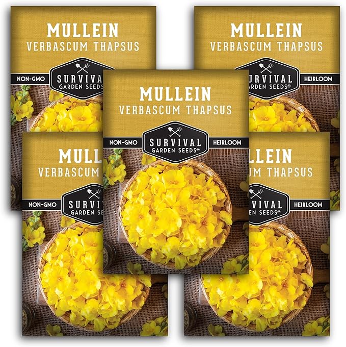 Mullein Seeds for Planting - Verbascum Thapsus Medicinal Biennial Herb with Tall Yellow Flowers - Heirloom Non-GMO Open Pollinated Pollinator Friendly - Survival Garden Seeds (5 Pack)