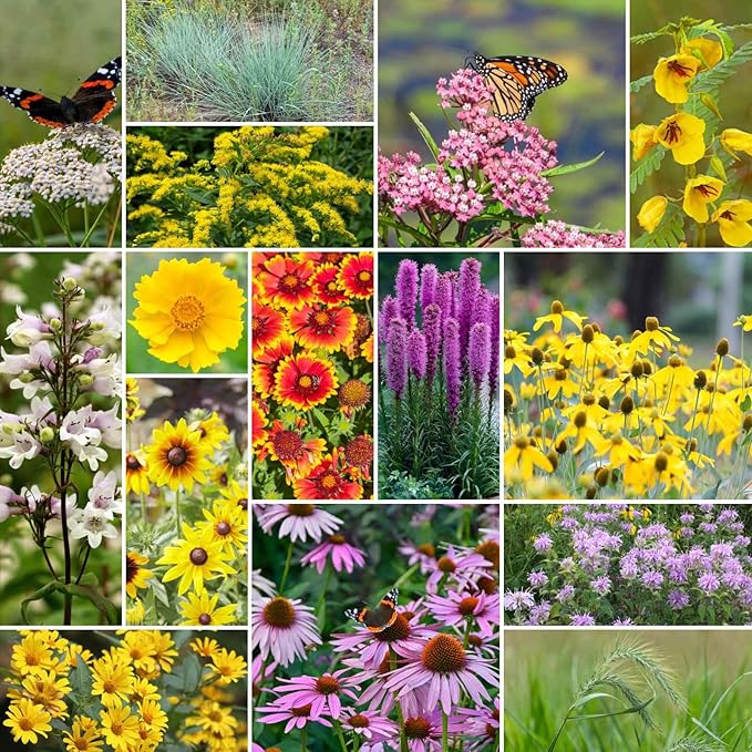 Eden Brothers Erosion Control Flower Seed Mix