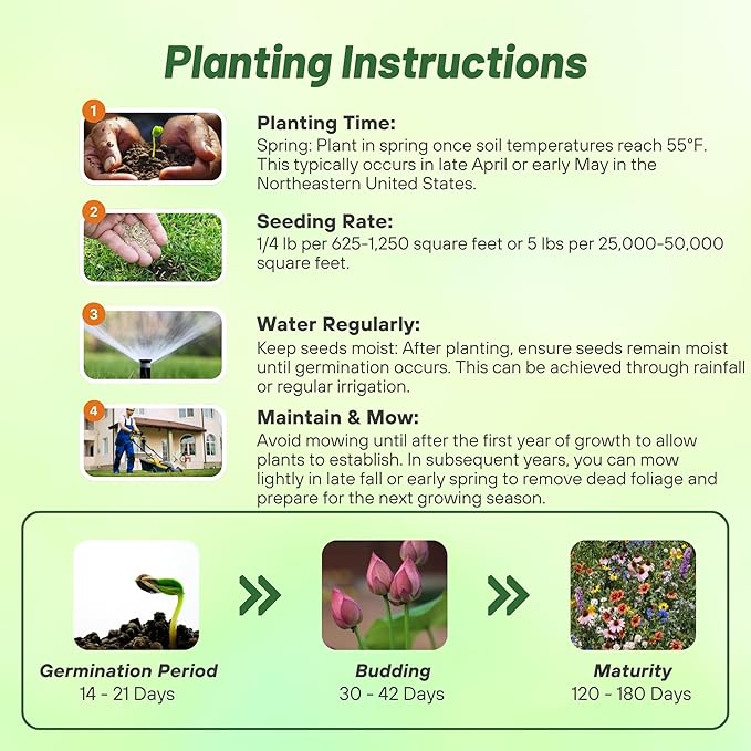 Outsidepride Northeast Wild Flower Seed Mix - 1/4 lbs Premium Blend of Vibrant Biennial & Annual Wildflower Seeds for Northeastern States, Ideal for Meadows, Borders, Gardens, & Attracting Pollinators