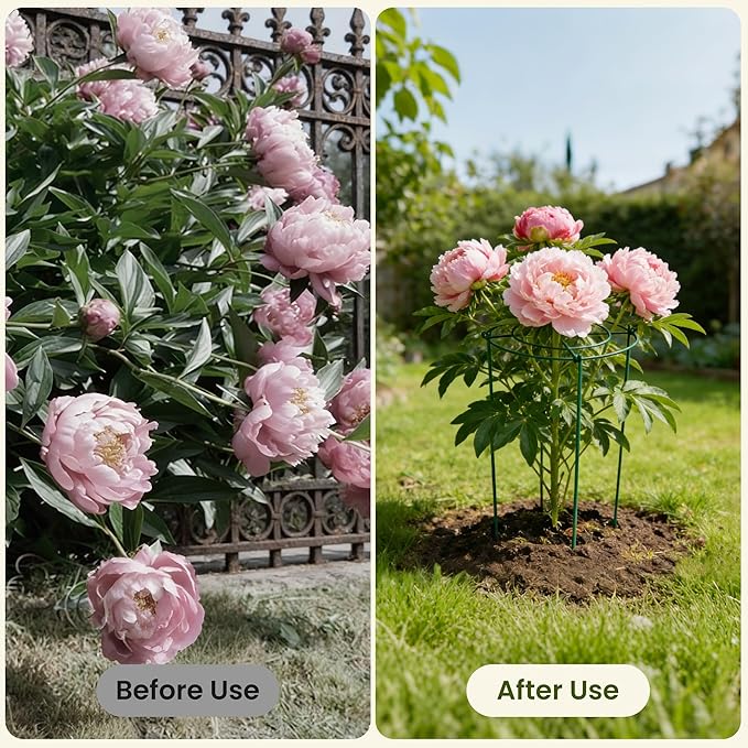 6 Pack Peony Cages and Supports, 11.8" x 24" Tall Peonies Support Cage, Heavy Duty Metal Peony Stakes and Supports for Rose Hydrangea Flower Plant