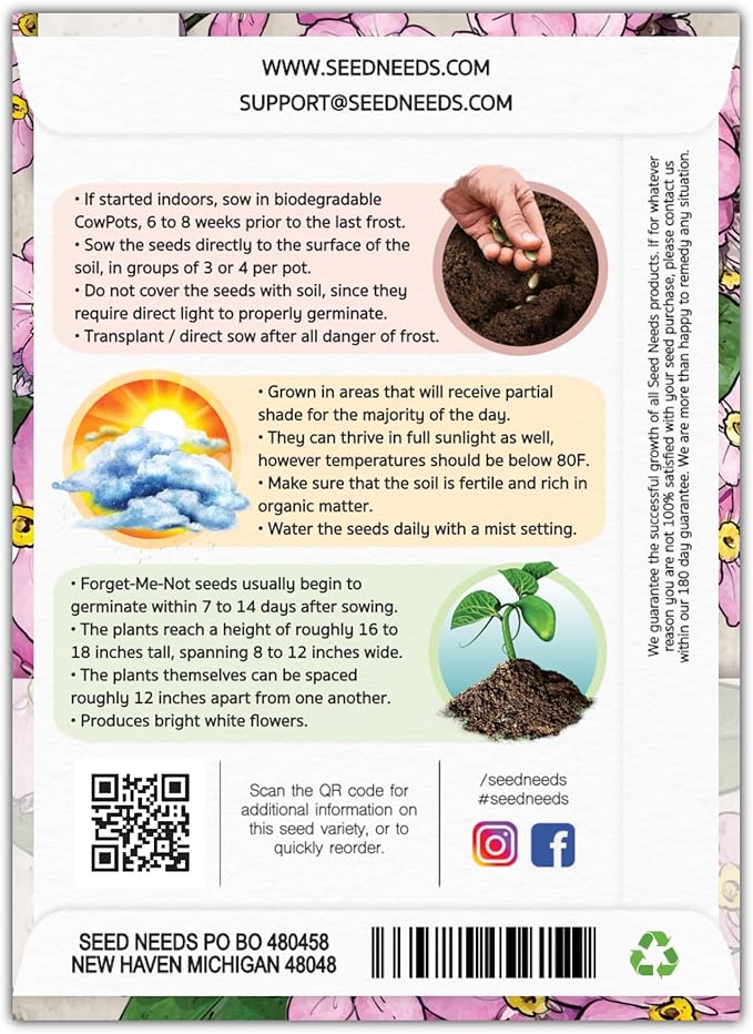 Seed Needs Forget Me Not Seeds for Planting Rose Myosotis Flowers - Heirloom & Open Pollinated Wildflowers to Plant an Outdoor Butterfly Garden to Attract Pollinators (1 Pack)