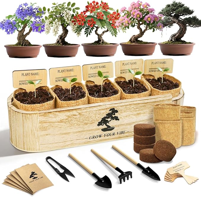 LUOJIBIE Bonsai Tree Kit for Beginners - Unique DIY Japanese Bonsai Trees,Crafts for Adults, Ideal Gardening Birthday Gift for Women & Men,Complete Indoor Plant Kit
