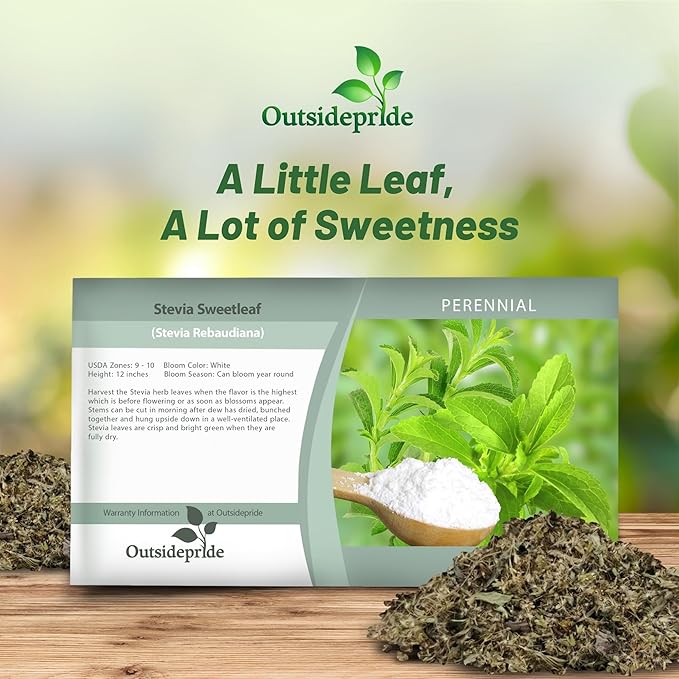 Outsidepride Stevia Sweetleaf Seeds - 50 Pcs. Perennial, Versatile & Low Maintenance, Herb Seeds for Planting Tender & Sweet Leaves, Great for Culinary Creations, Tea Blends, and Homemade Recipes
