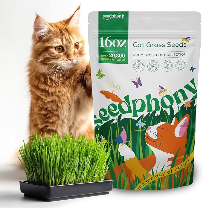 Seedphony Cat Grass Seed Mix – 16 oz Pack with 20,500 Non-GMO Heirloom Seeds for Cats, Barley, Oat, Rye & Wheatgrass for Indoor Growing, Fresh Pet Grass for Digestion & Hairball Control