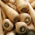 Hollow Crown Parsnip Garden Seeds - 1 Lb - Non-GMO, Heirloom Vegetable Gardening Seeds - Open Pollinated