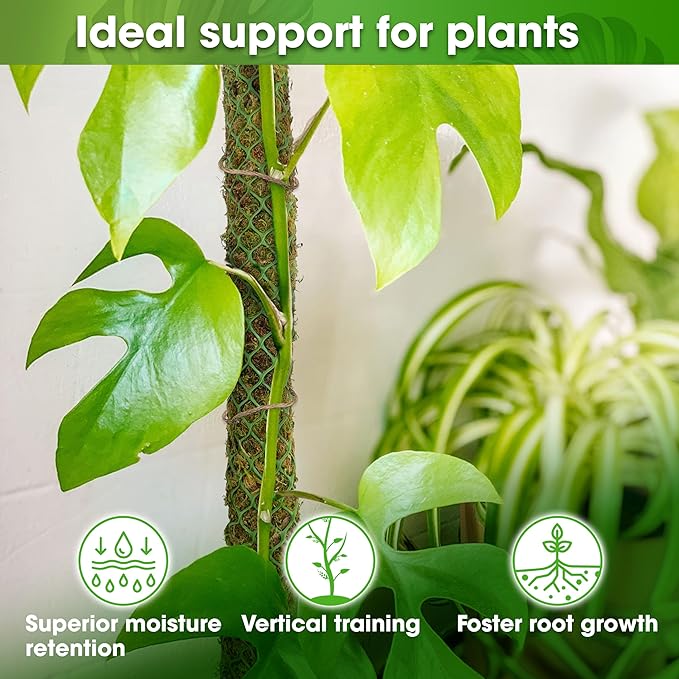 DUSPRO 2 Pack 25’’ Mesh Moss Pole for Climbing Plants, Natural Moss Pole Monstera Plant Support, Real Moss Poles for Plants Indoor, Moss Stick for House Plants, Moss Stakes for Climbing Plants