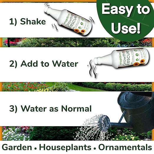 Wrigglebrew Organic Liquid Fertilizer Concentrate from Worm Castings. Non-toxic, All-Purpose, Plant Food for Gardens, Vegetables, Fruits, Houseplants, Seed Starters, and Ornamentals. (32 Fluid Ounces)