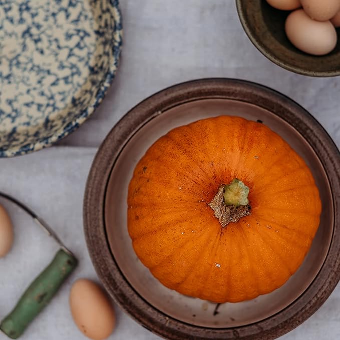 Small Sugar Pie Pumpkin - 25 Seeds - Heirloom & Open-Pollinated Variety, Easy-to-Grow, Non-GMO Vegetable Squash Seeds for Planting Outdoors in The Home Garden, Thresh Seed Company