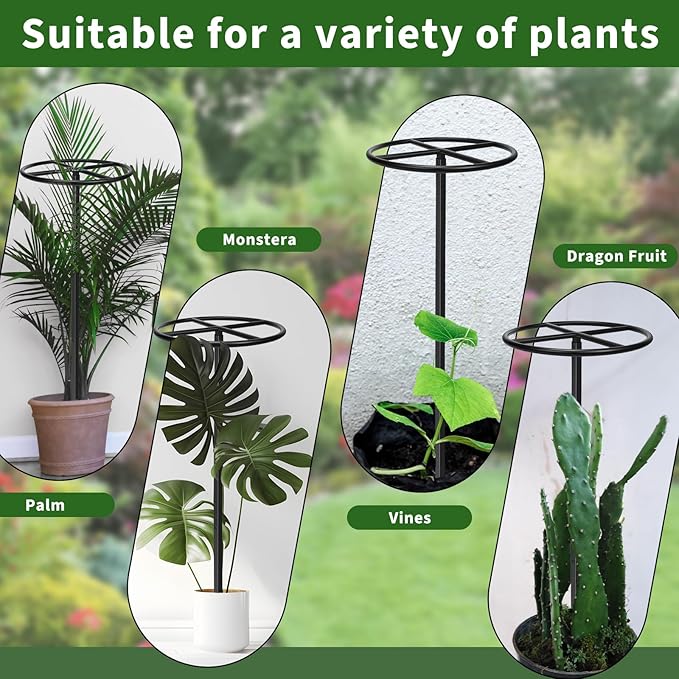 1 Pcs Heavy Duty Dragon Fruit Trellis, 12"x12"x50" Adjustable Metal Dragon Plant Support Stand, Durable Vertical Trellis for Climbing Plants, No-Hammer Assembly for Outdoor Garden (Round)