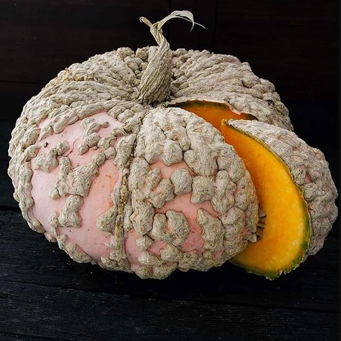 Galeux d’Eysines Pumpkin Seeds 1 Lb – French Heirloom – 10–20 lb Warty Pink Squash – Sweet Flesh for Soups & Sauces – Great Storage – Rare Pumpkin Variety
