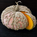 Galeux d’Eysines Pumpkin Seeds 1 Lb – French Heirloom – 10–20 lb Warty Pink Squash – Sweet Flesh for Soups & Sauces – Great Storage – Rare Pumpkin Variety