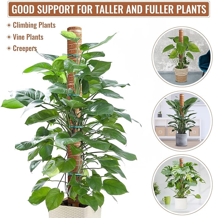 6-Piece 12-Inch Totem Poles with 12 Adjustable Plant Twist Ties - Coir Moss Stick for Creepers, Climbing Plants