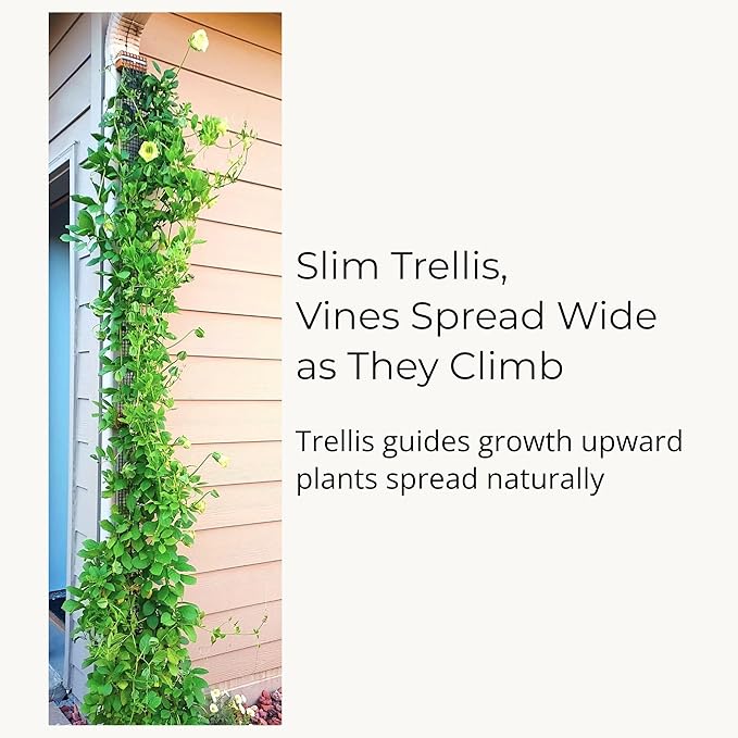 Downspout Trellis for Rain Gutters and Downspouts 9 ft x 4 Climbing Plant Support, HDPE Mesh Vine Trellis with Mounting Hardware for Clematis and Vines, Scroll Trellis 2-Pack